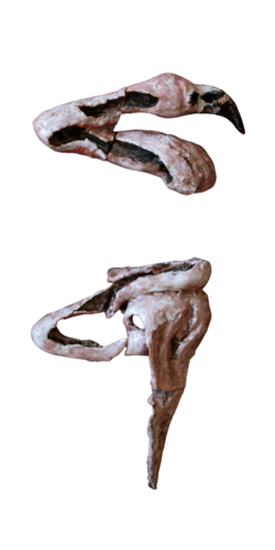 Flamingo 4 van Maria Husarska, Beeldhouwwerk te koop op Singulart