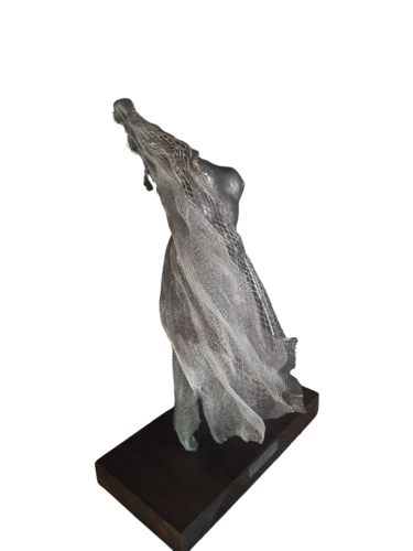 Sueños que vuelan by Vivi Herrera, Sculpture for Sale on Singulart