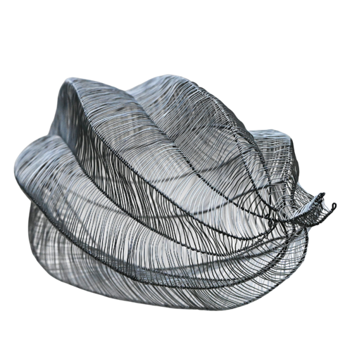 CAPSULA TORTUOSUS Maja Hochuli