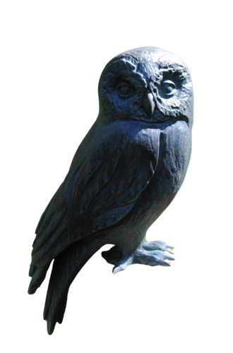 Waldkauzmännchen von Waltraud Hustermeier, Skulptur kaufen auf Singulart