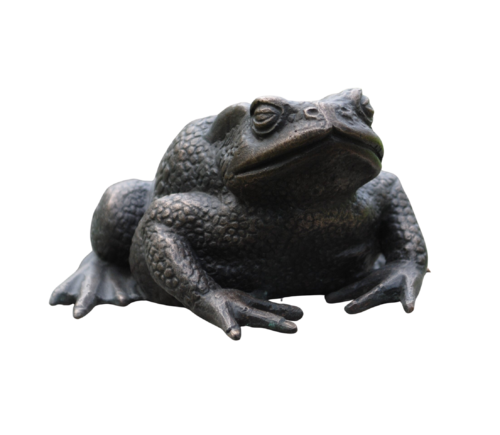 Erdkröte von Waltraud Hustermeier, Skulptur kaufen auf Singulart