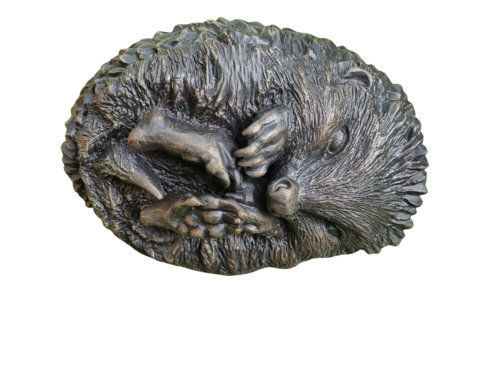 Eingerollter Igel par Waltraud Hustermeier, Sculpture en vente sur Singulart