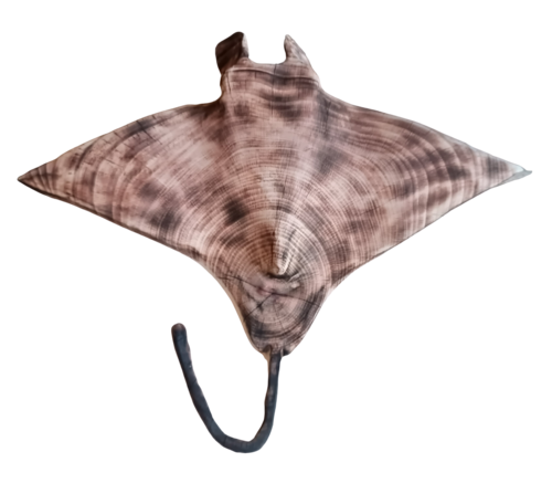 Manta Ray of Light di Stefan From-Møller, Scultura in vendita su Singulart