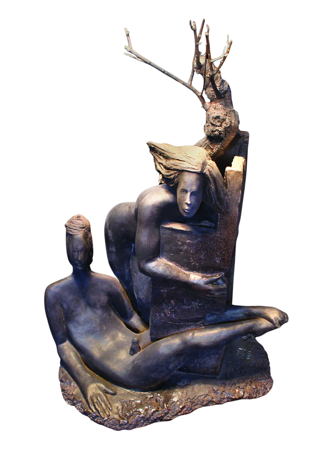 Solidarietà alessandro rocchi