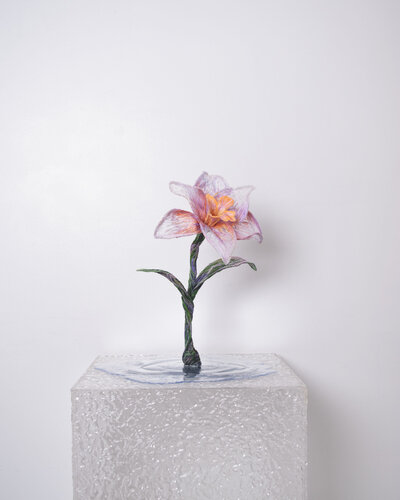 Narcissus de Kah Yan Chai, Escultura a la venta en Singulart