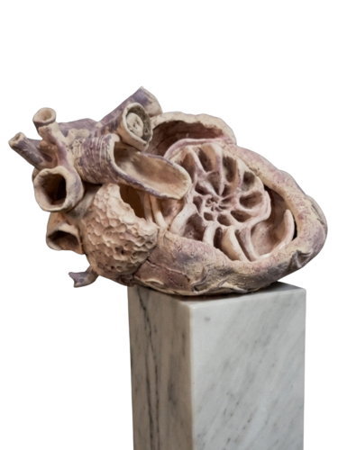 Metamorfosis del Ser de Carolina Reynoso, Escultura a la venta en Singulart