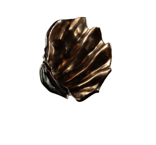 The Giant Clam. Bronze sculpture. by Marzena Gawrysiak, 彫刻 for Sale on Singulart