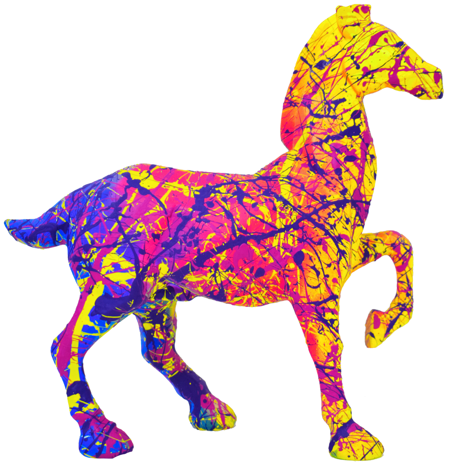 STREET HORSE Vincent Bardou