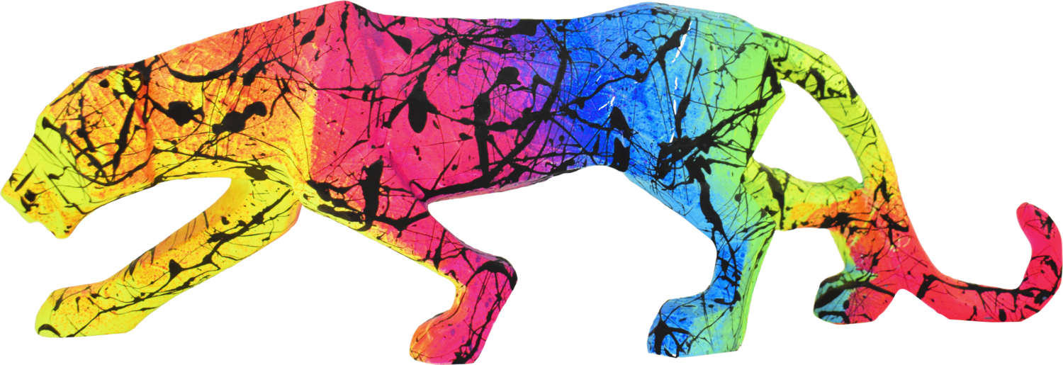 RAINBOW PANTHER Vincent Bardou