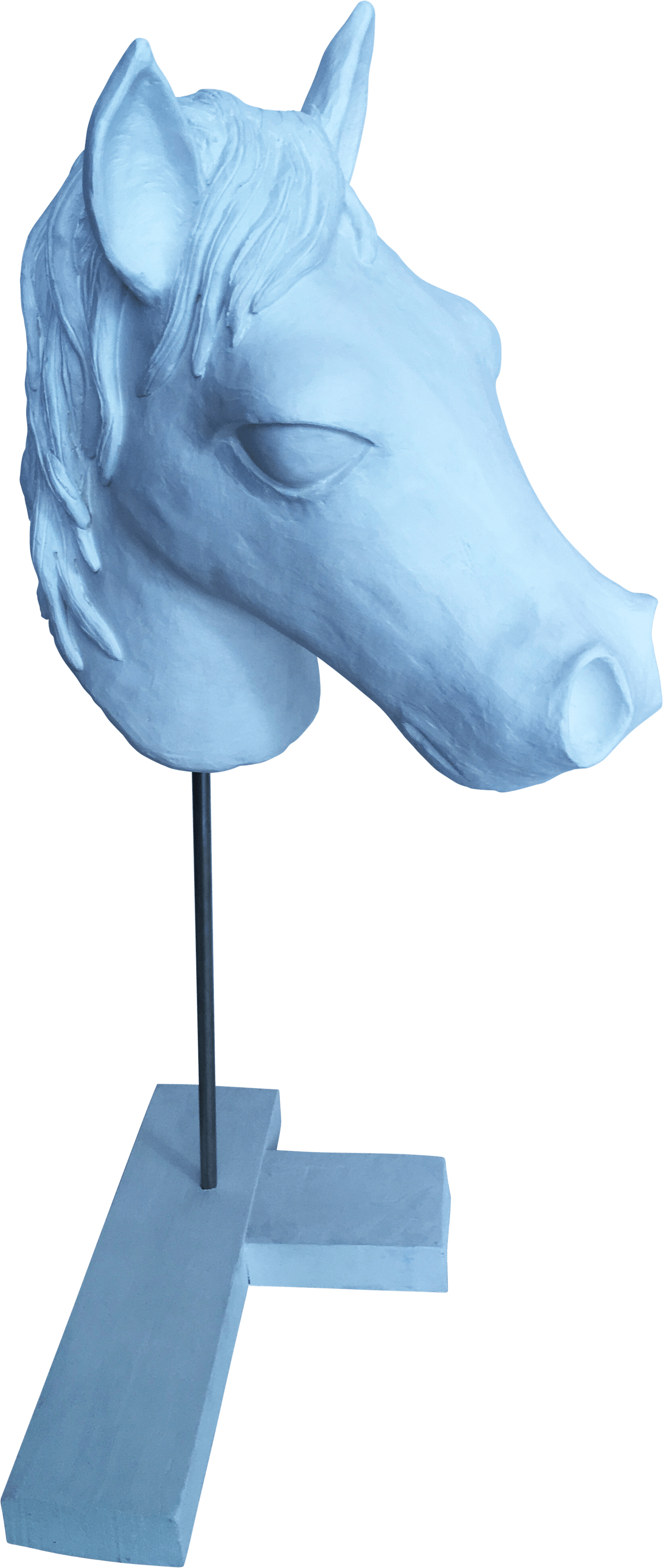 Caballos