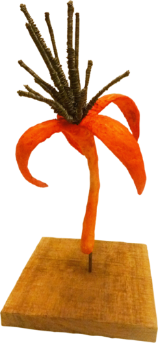 FLOWER POWER! par Juan Isasa, Sculpture en vente sur Singulart