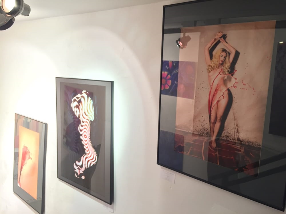 Galería de arte Gallery Steiner