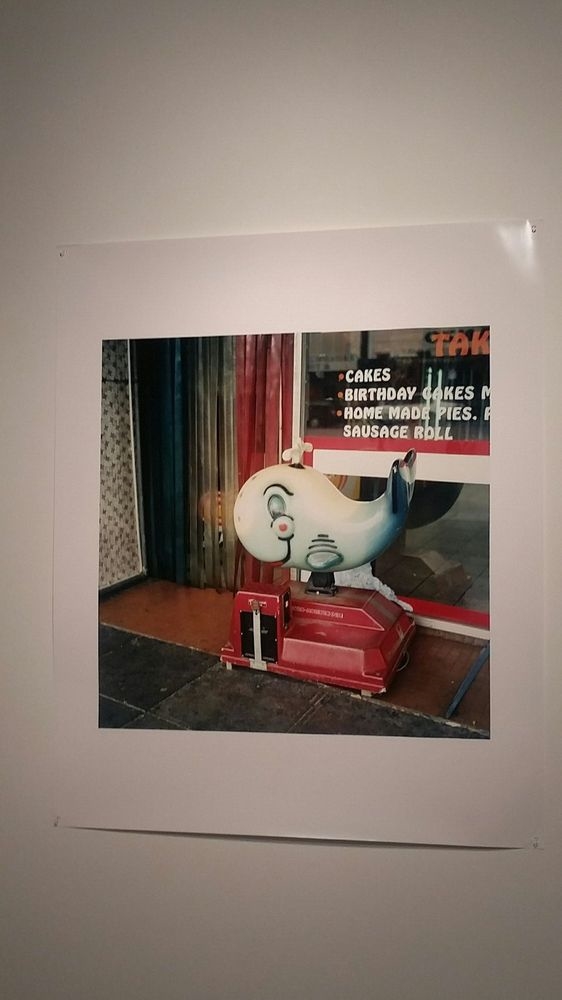 Galleria d'arte Stills Gallery