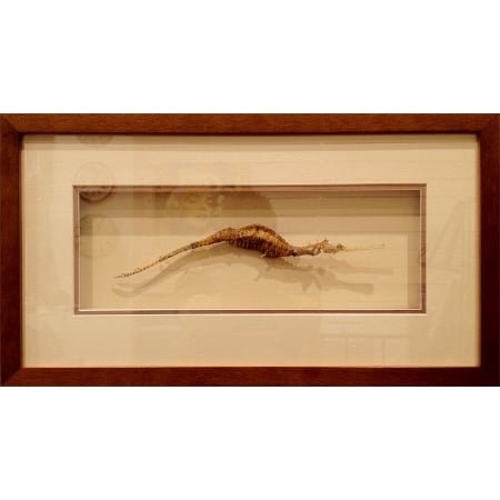 Galería de arte Dimonds Gallery - Picture Framing & Gifts
