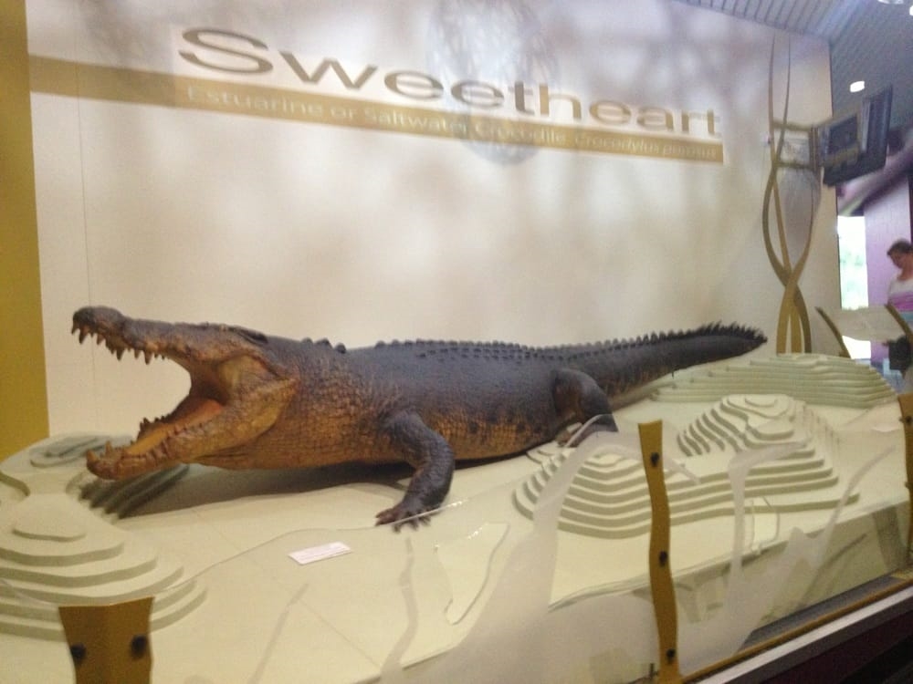 Art Gallery Museum And Art Gallery Of The Northern Territory