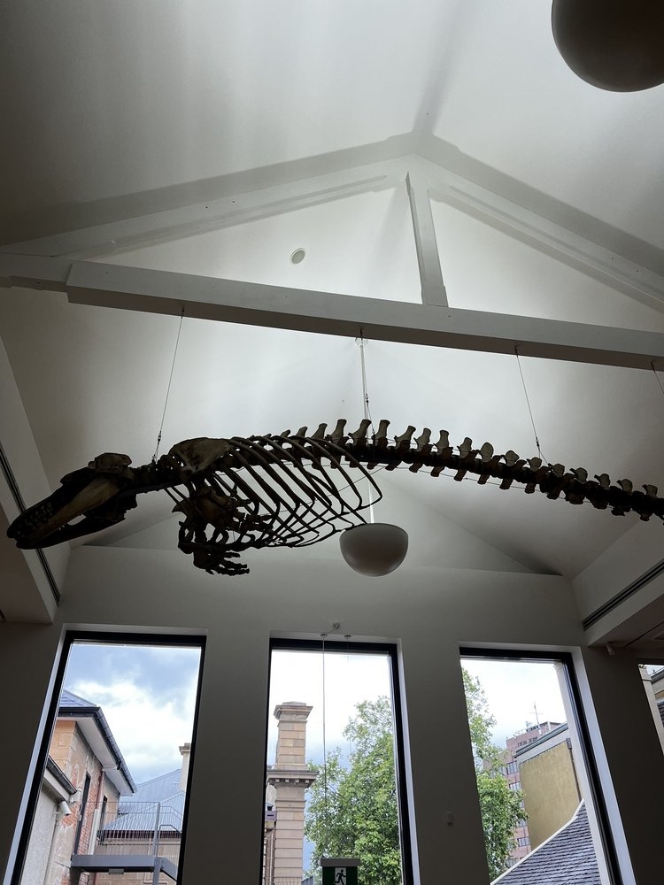 Art Gallery Tasmanian Museum and Art Gallery