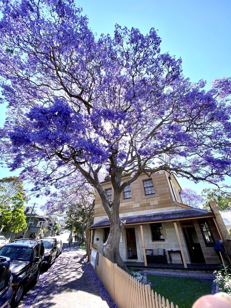 Galleria d'arte Balmain Watch House