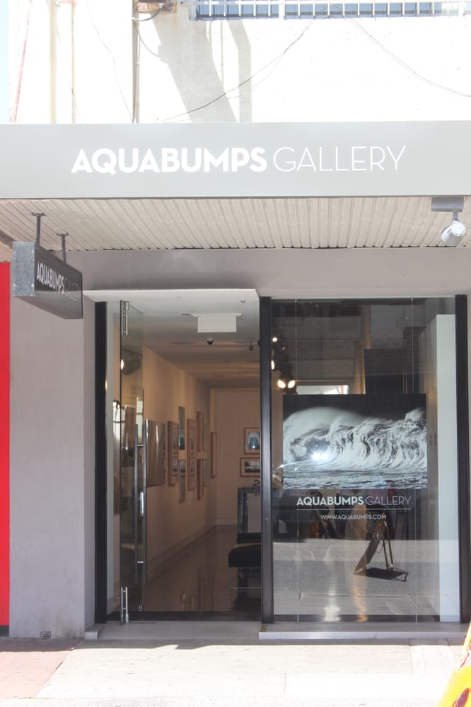 Galerie d'art Aquabumps Gallery