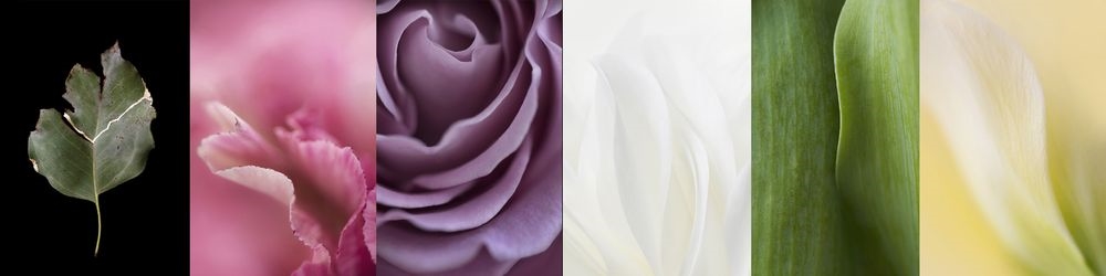 Art Gallery The Humble Hunter