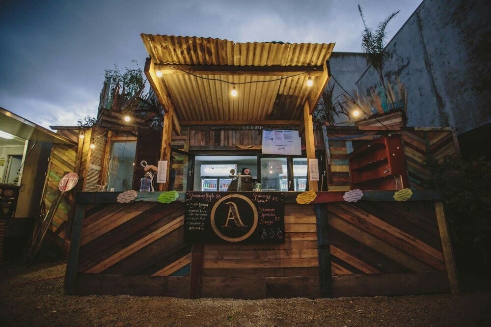 Art Gallery The Bird Watching Society