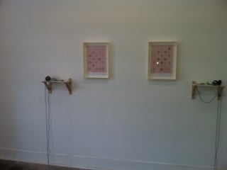 Art Gallery Sno Contemporary Art Projects