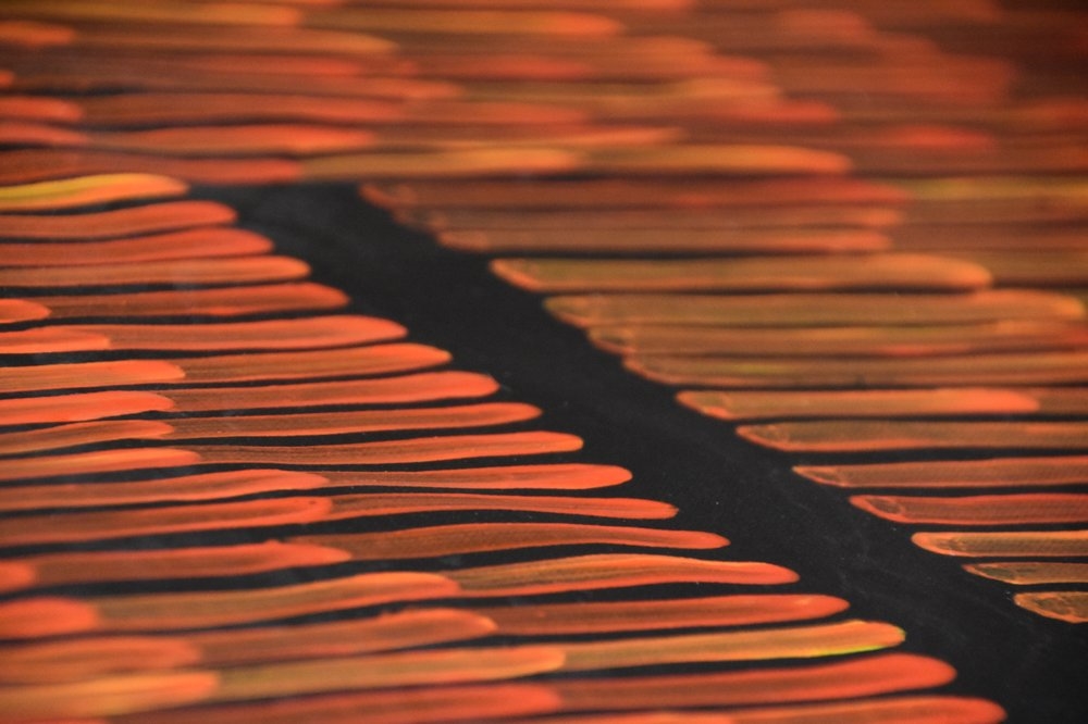 Art Gallery Western Desert Art Movement