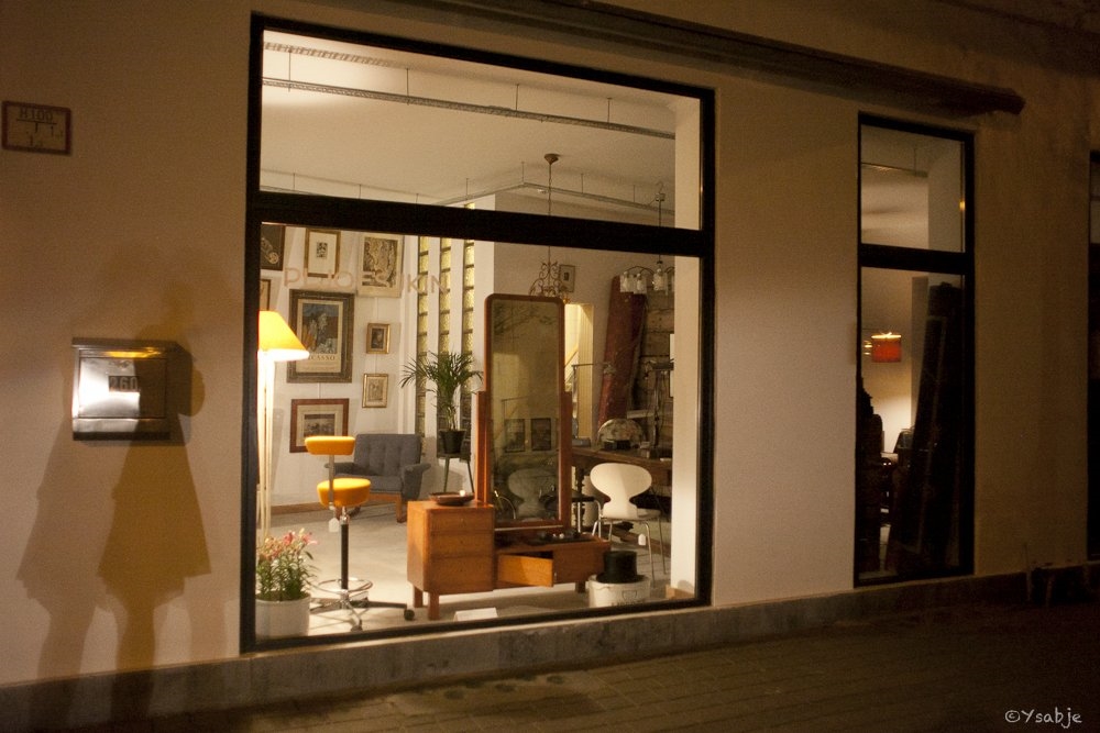 Art Gallery Pljoesjkin