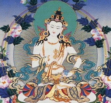 Art Gallery Art of Compassion Gallery