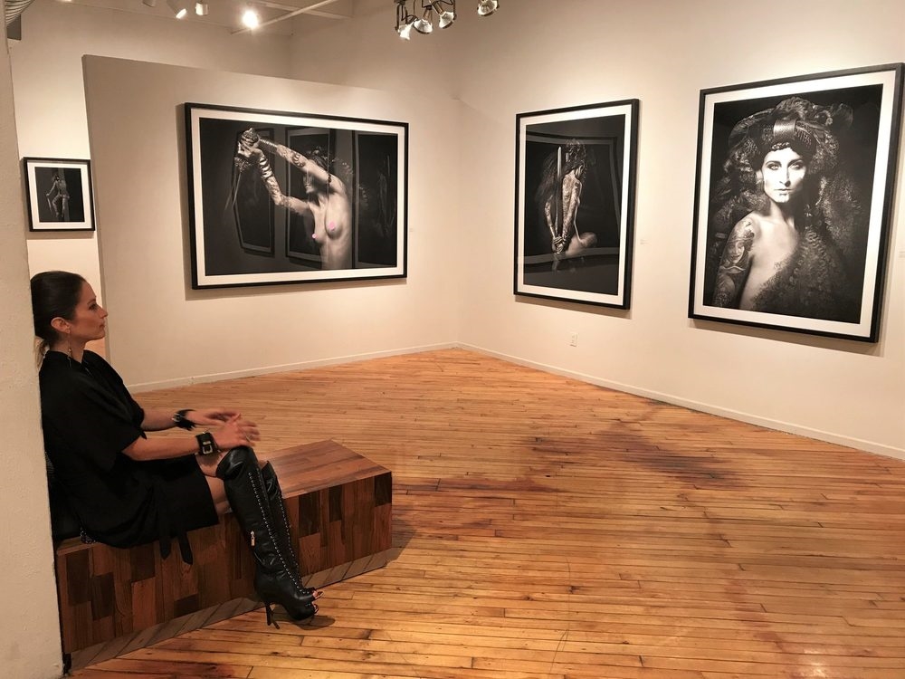 Art Gallery Coldstream Fine Art