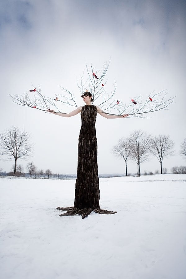 Art Gallery Laura Hollick