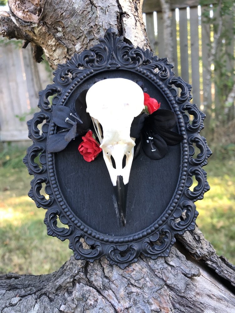 Galerie d'art Little Shop Of Strange