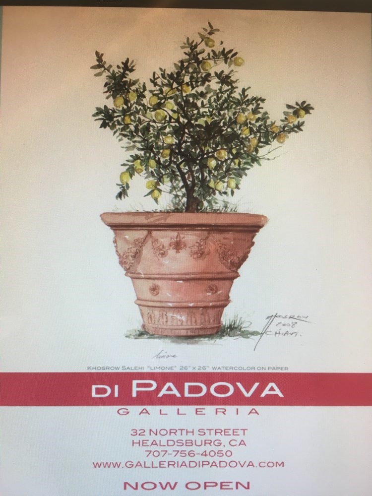 Galería de arte Galleria di Padova