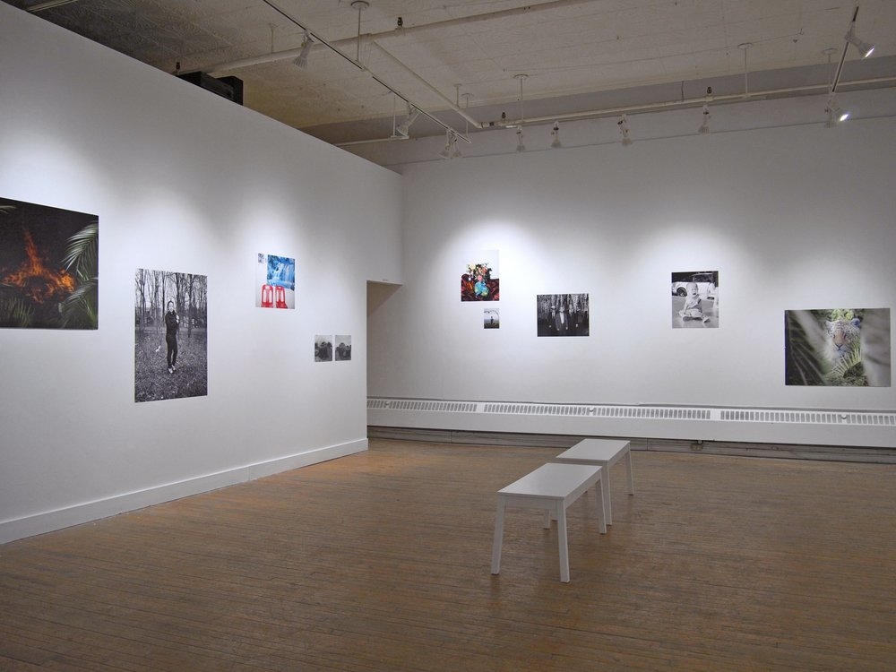 Galerie d'art Platform Centre For Photographic & Digital Arts