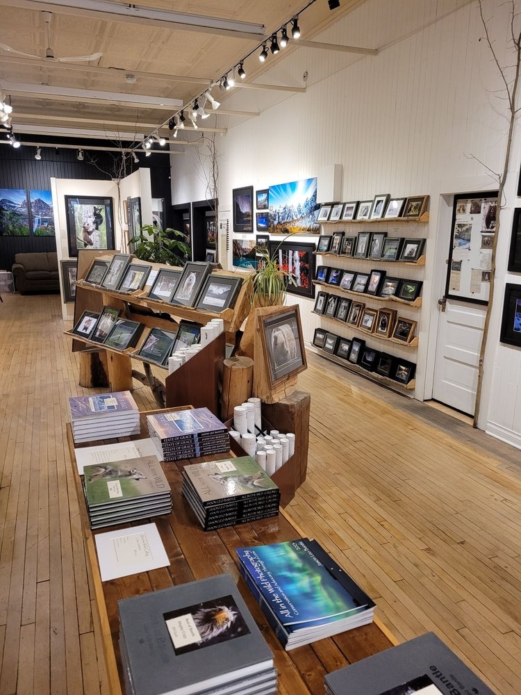 Art Gallery All In The Wild Photography