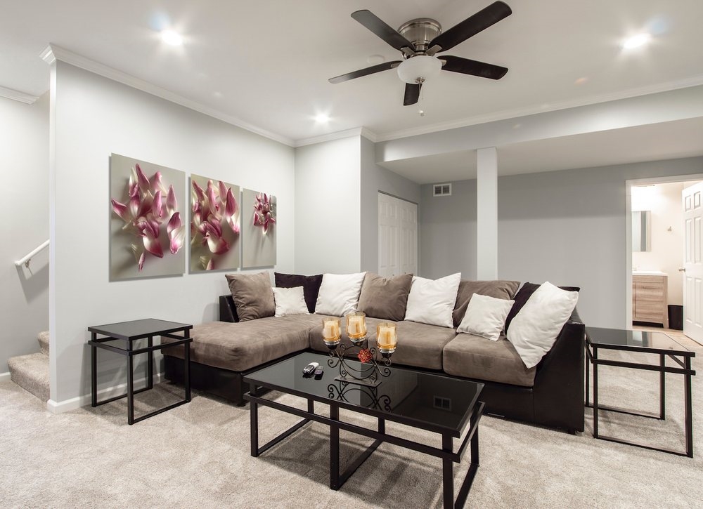 Art Gallery Savvy Art