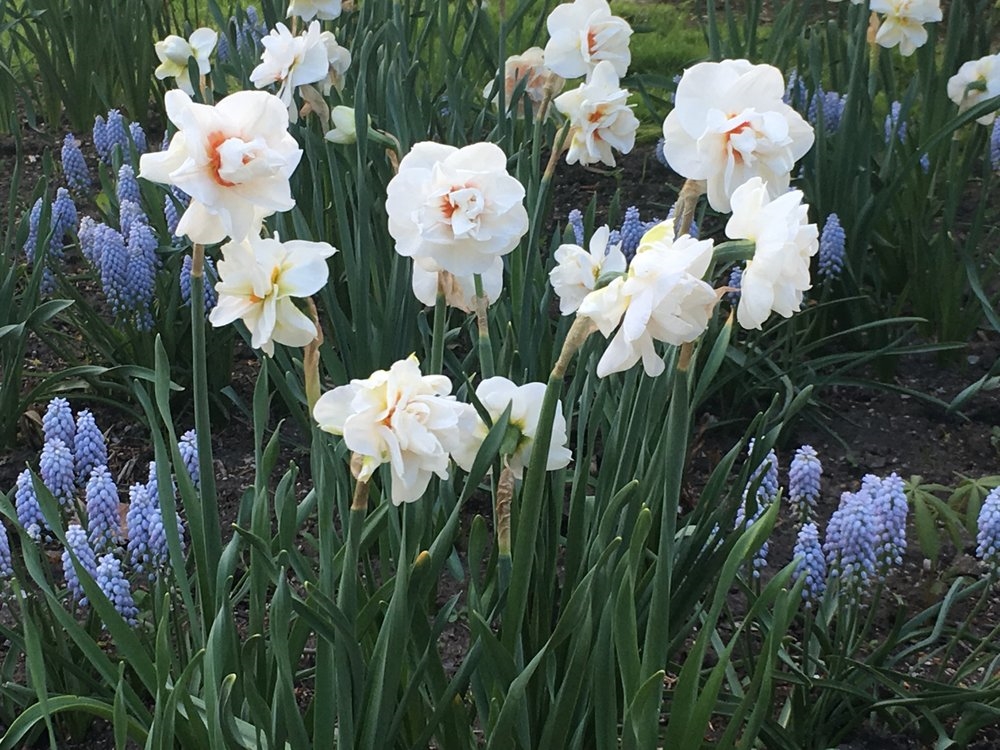 Art Gallery Cedar Ridge Creative Centre