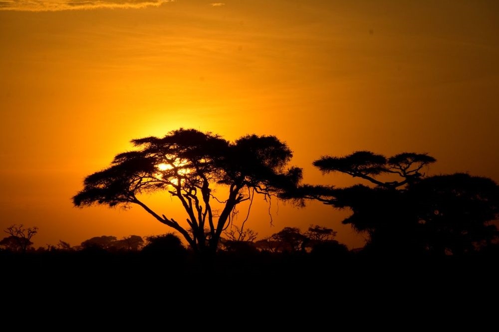 Art Gallery Edward Spera