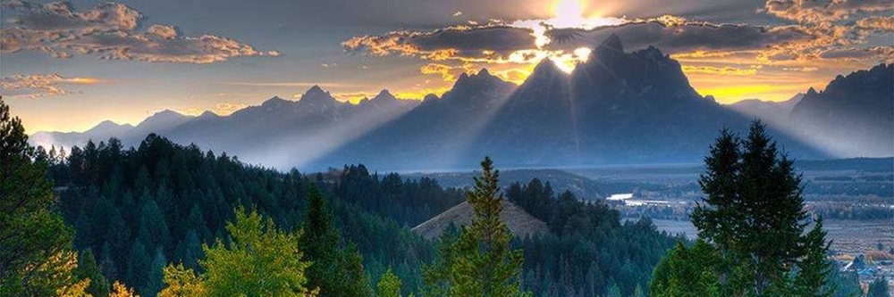 Art Gallery Bruce McWilliam Fine Art