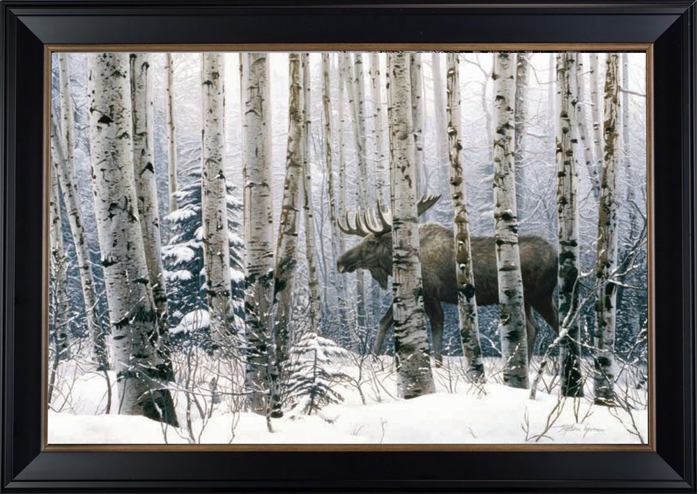 Art Gallery Picture Picture Markville