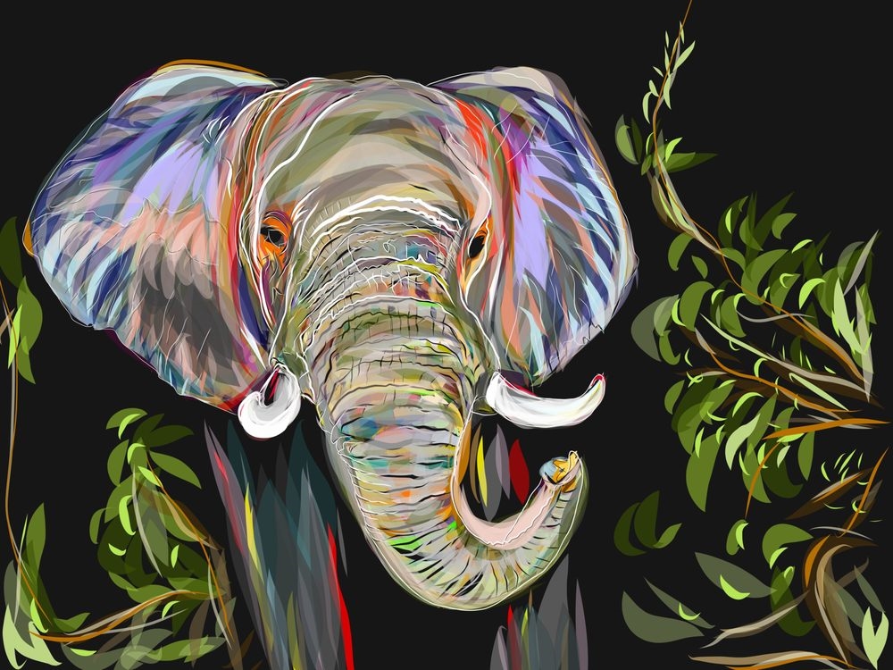 Art Gallery Kevin Gannon Studio