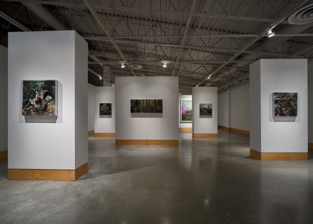 Art Gallery Art Gallery at Evergreen Cultural Centre