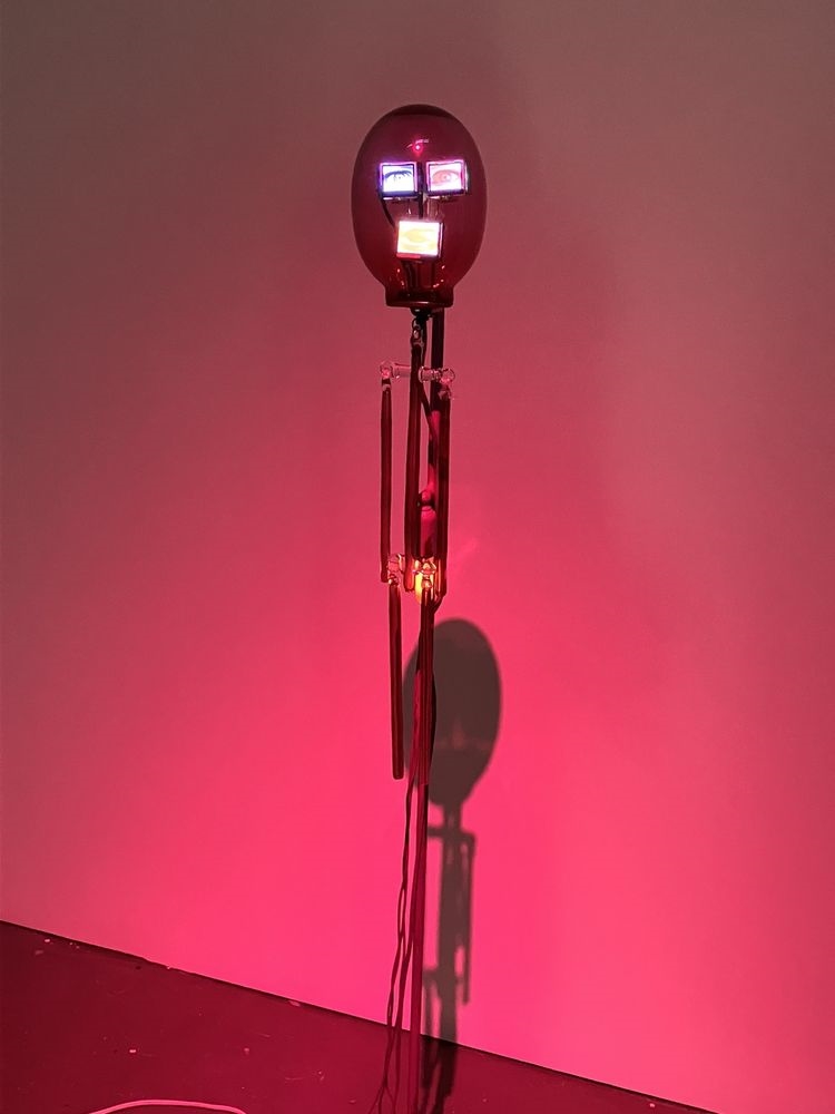 Art Gallery New Media Gallery