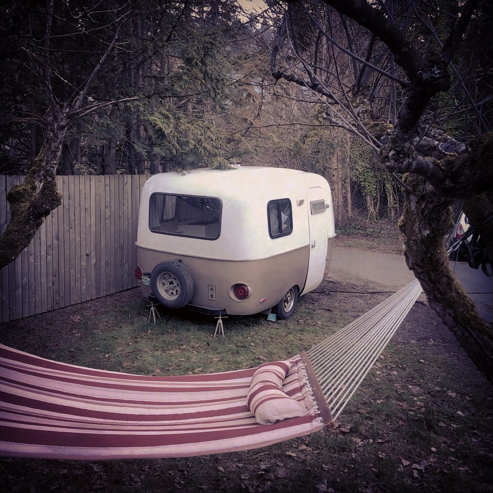 Galerie d'art The Wild Diamond