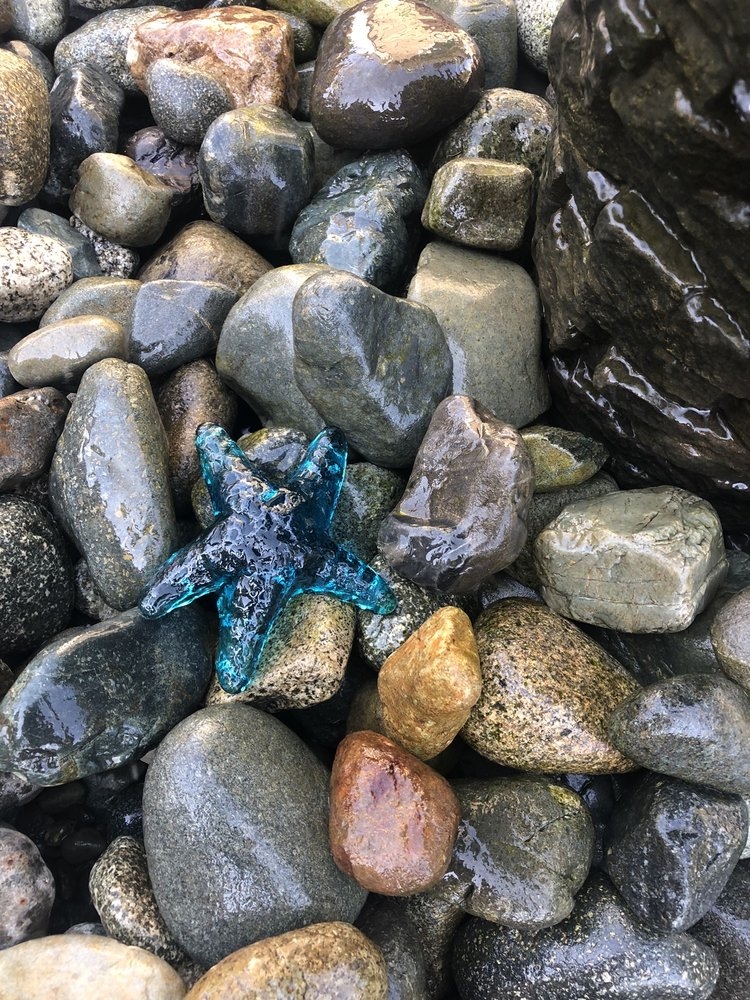 Galerie d'art Waterfront Gallery Society