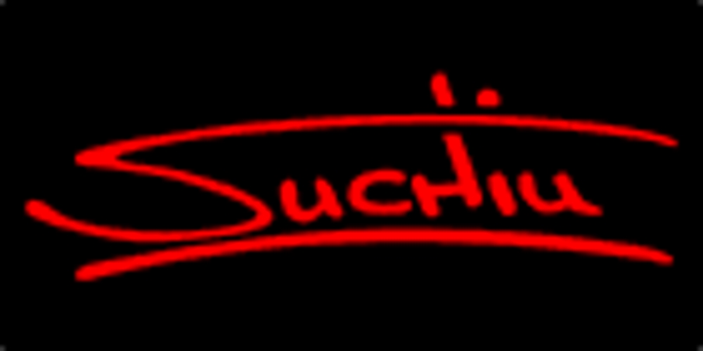 Galerie d'art Suchiu Art