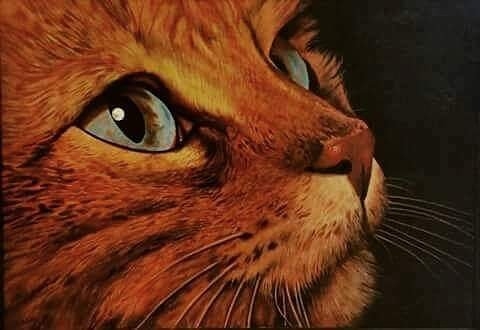 Galerie d'art Panasia Gallery