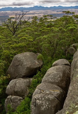 Art Galleries Albany