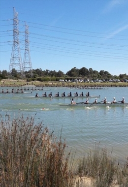 Art Galleries Armadale