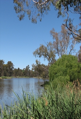 Art Galleries Benalla