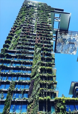 Art Galleries Chippendale